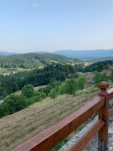 Wine House, Zidanica Gruden Villa Novo Mesto Exterior photo